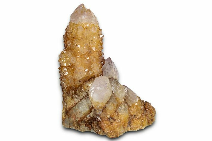 Sunshine Cactus Quartz/Amethyst Crystal Cluster - South Africa #337653